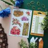 MINI PACK PLANTS 3