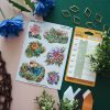 MINI PACK PLANTS 1