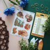 MINI PACK PLANTS 2