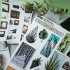 PACK PLANTS — изображение 2