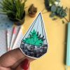 MINI PACK CACTUS 3 — изображение 2