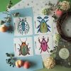 CARD BEETLE 8 — изображение 3