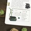 PACK GREEN 2 — изображение 8