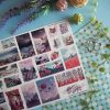 PACK LANDSCAPE — изображение 3