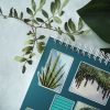 PACK PLANTS — изображение 5