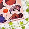 PACK RACCOON — изображение 4