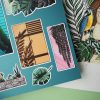 PACK PLANTS — изображение 8