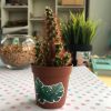 MINI PACK CACTUS 3 — изображение 5
