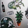 PACK SAD — изображение 3