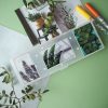 PACK PLANTS — изображение 9