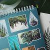 PACK PLANTS — изображение 10