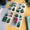 MINI PACK CACTUS 3 — изображение 6