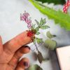 MINI PACK HERBARIUM 3 — изображение 13