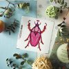 CARD BEETLE 8