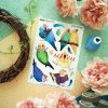 MINI PACK PARROT 4