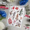 MINI PACK HERBARIUM 4