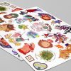 PACK MULT 2000 — изображение 6