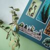 PACK PLANTS — изображение 12