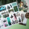 PACK PLANTS — изображение 13