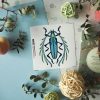 CARD BEETLE 5