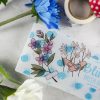 MINI PACK HERBARIUM 3 — изображение 16