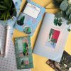 MINI PACK CACTUS 3 — изображение 9