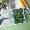 PACK PLANTS — изображение 15