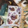 MINI PACK HERBS 4