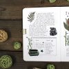 PACK GREEN 2 — изображение 19