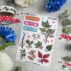 MINI PACK HERBARIUM 1