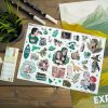 PACK GREEN 2