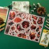 PACK NOVEMBER