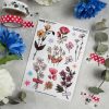 MINI PACK HERBARIUM 3