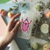 CARD BEETLE 8 — изображение 2