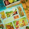 PACK STORY — изображение 5