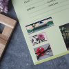 PACK OLD JAPAN — изображение 9