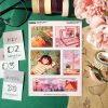 MINI PACK APRICOT 1