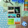 MINI PACK EARTH