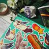 PACK PARROT — изображение 7