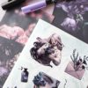 PACK SINISTER — изображение 9