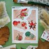 MINI PACK SHEETS 3