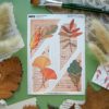 MINI PACK SHEETS 4