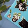 MINI PACK HERBOLOGY — изображение 3