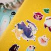 PACK ALPACA — изображение 11