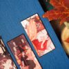 PACK SAMHAIN — изображение 10