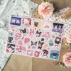 PACK SANRIO