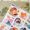 PACK LIFE — изображение 4