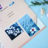 PACK AQUA — изображение 15