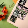 PACK BLOSSOM — изображение 14