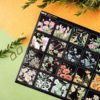 PACK BLOSSOM — изображение 2